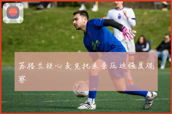 苏格兰核心麦克托米奈压迫强度观察