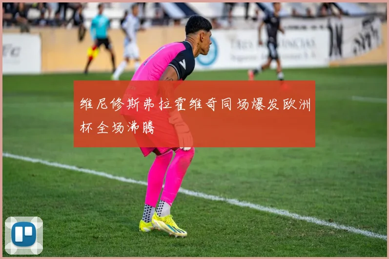维尼修斯弗拉霍维奇同场爆发欧洲杯全场沸腾