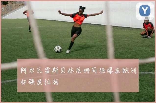 阿尔瓦雷斯贝林厄姆同场爆发欧洲杯强度拉满